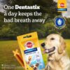 Pedigree Dentastix Adult Large Breed (25 kg+) Oral Care Dog ... - Image 3