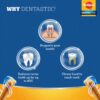 Pedigree Dentastix Oral Care Treats for Medium Breed Adult D... - Image 5