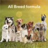 Meat Up Munchy Sticks, Mutton Flavour, Dog Treats For All Li... - Image 8