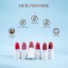 Just Herbs Ayurvedic Creamy Matte Micro Mini Lipstick Kit Li... - Image 6