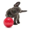 Foodie Puppies Natural Rubber Spike Ball - 2.5inch/ 6.35cm |... - Image 8