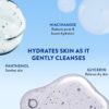Cetaphil Paraben, Sulphate-Free Gentle Skin Hydrating Face W... - Image 4