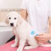 VETMOC Self Cleaning Slicker Brush, Pet Grooming Shedding Br... - Image 4