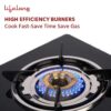 Lifelong 2 Burner Gas Stove Top for Kitchen - Automatic Igni... - Image 6