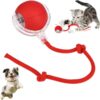 FOMQUAZLI Pet Ball Automatic Toy - Cat/Dog Dancing Toy for I... - Image 2