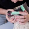 Inralimot Dog Toothbrush Cat Finger, Teeth Cleaning Set Soft... - Image 6