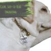 Pawpro Personalized Engraved Dog Name Tag with Photo Customi... - Image 7
