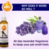 Boltz Odour and Urine Smell Remover Pet Area Freshener for D... - Image 4