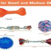 Agirav Dog Rope Toys + Dog Toys + Chew Toys + Toys for Puppy... - Image 4