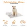 amazon basics Carbon Pet Training Pads -Extra Large , 30 Pie... - Image 4