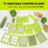 Tekcool 15 in 1 Multipurpose Chopper, Fruits & Vegetable Cut... - Image 6