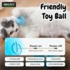 BURAQ 360° Smart Gravity Self Roller Ball Cat Toy - Type-C C... - Image 5