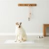 amazon basics Heavy Duty Pet and Puppy Training Pads, XL, 50... - Image 6