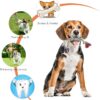 Agirav Dog Rope Toys + Dog Toys + Chew Toys + Toys for Puppy... - Image 3