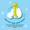 Foodie Puppies Interactive Latex Squeaky Chew Dog Toy - (Gre... - Image 7