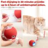 FOMQUAZLI Pet Ball Automatic Toy - Cat/Dog Dancing Toy for I... - Image 4