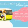 Agirav Tail Dog Toys + Dog Chew Toys + Rope Toys + Dog Toys ... - Image 6