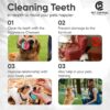 Pet Central Interactive Toy | Suction Cup Chew Toy for Aggre... - Image 9