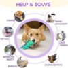 Sage Square Durable, Interactive Dog Squeaky Crocodile Toy w... - Image 4