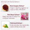 NutriGlow Instant Glow Beauty Wine Facial kit with Goodness ... - Image 4