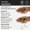 Soulflower Rosemary Water Spray for Hair Growth | Niacinamid... - Image 4