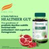 Himalaya Healthy Gut Probiotic Gummies | Pack of 30s | Nutra... - Image 4