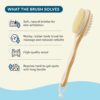 Bloom 2-in-1 Long Handle Body Brush | For Skin Exfoliation a... - Image 5