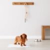 amazon basics Pet Training and Puppy Pads with Leak-Proof Qu... - Image 7