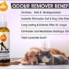 Boltz Odour and Urine Smell Remover Pet Area Freshener for D... - Image 8