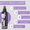 Foodie Puppies Dog Perfume Spray English Lavender - 200ml | ... - Image 3