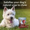 Meat Up Munchy Sticks, Mutton Flavour, Dog Treats For All Li... - Image 7