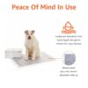 amazon basics Carbon Pet Training Pads -Extra Large , 30 Pie... - Image 6