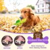 Sage Square Durable, Interactive Dog Squeaky Crocodile Toy w... - Image 5