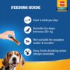Pedigree Dentastix Adult Large Breed (25 kg+) Oral Care Dog ... - Image 8
