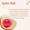Foodie Puppies Natural Rubber Spike Ball - 2.5inch/ 6.35cm |... - Image 4