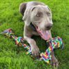 Agirav Dog Rope Toys + Dog Toys + Chew Toys + Toys for Puppy... - Image 6