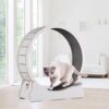ATORSE Wooden Running Training Toy Treadmill Mute Cat Exerc... - Image 9