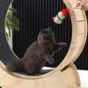 Enakshi Noiseless Cat Running Wheel Exercise Treadmill Train... - Image 9