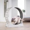 UJEAVETTE® Wooden Running Training Toy Treadmill Mute Cat Ex... - Image 10