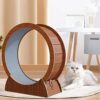 Enakshi Cat Treadmill Exercise Wheels Workout Game for Indoo... - Image 3