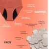 Mahina Everyday Hero Period Panty for Women & Girls | Cotton... - Image 5