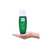 Ramco Green Musk Apparel Perfume Spray For Men, 100ml (Flora... - Image 5
