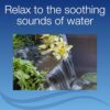 Aquascape Pond and Waterfall Kit AquaGarden Container Water ... - Image 4