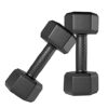 Spanco PVC (Hex Shape) Dumbbells (1 Kg. X 2 = 2 Kg) Pack of ... - Image 2