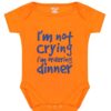 Kiddeo Infants Bodysuits (Pack of 5) (3-6 Months) - Image 7