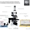 E S A W AWARDED-2020 Best Biological Compound Microscope for... - Image 3