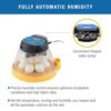 Brinsea Products Mini II Ex Fully Automatic 7 Egg Incubator ... - Image 9