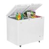 Haier HDF-385HC Polar Double Door Cooler & Freezer (365 lite... - Image 3