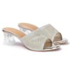 Denill Women Stylish Fancy and Comfort Trending Heel Fashion... - Image 9