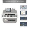Casio CT-S200 Casiotone 61-Key Portable Keyboard (White) - Image 4